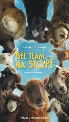 Béé tým na stopě